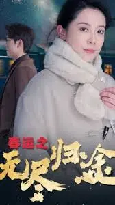 《春运之无尽归途》：年度催泪大片，回家路上的酸甜苦辣，触动你的心弦！