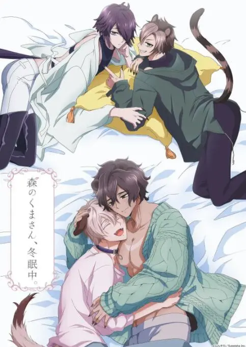 《森林里的熊先生冬眠中》：超萌预警！治愈系动画，暖心陪伴你的寒冷冬日