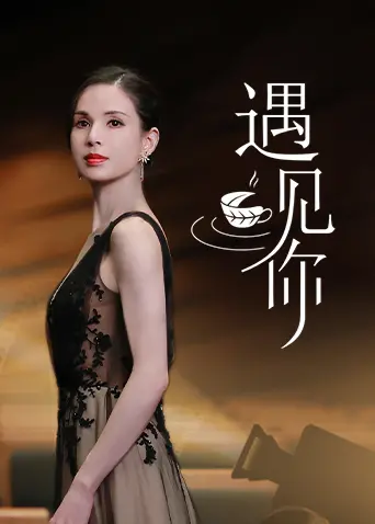 《遇见你》：一场跨越时空的爱恋，宿命般的相遇，最终能否修成正果？